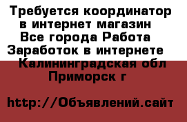 Требуется координатор в интернет-магазин - Все города Работа » Заработок в интернете   . Калининградская обл.,Приморск г.